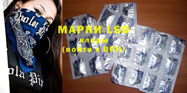 ECSTASY Майский