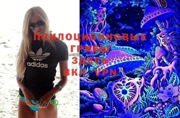 амф Магадан