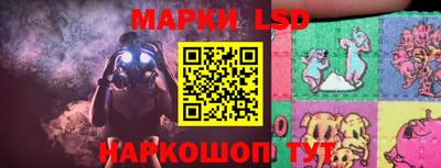 стаф Кимры