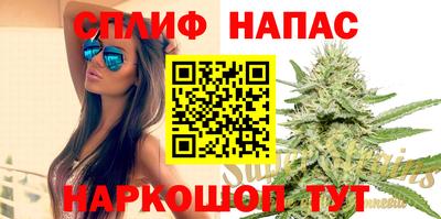 стаф Кимры