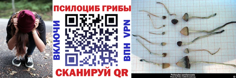 Галлюциногенные грибы GOLDEN TEACHER Дюртюли
