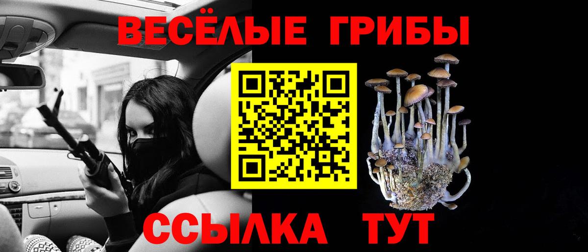 Псилоцибиновые грибы Psilocybe  Вход с VPN  Дюртюли  Псилоцибиновые грибы Magic Shrooms 