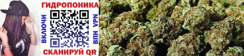 MEGA ТОР  Дюртюли  Конопля SATIVA & INDICA 